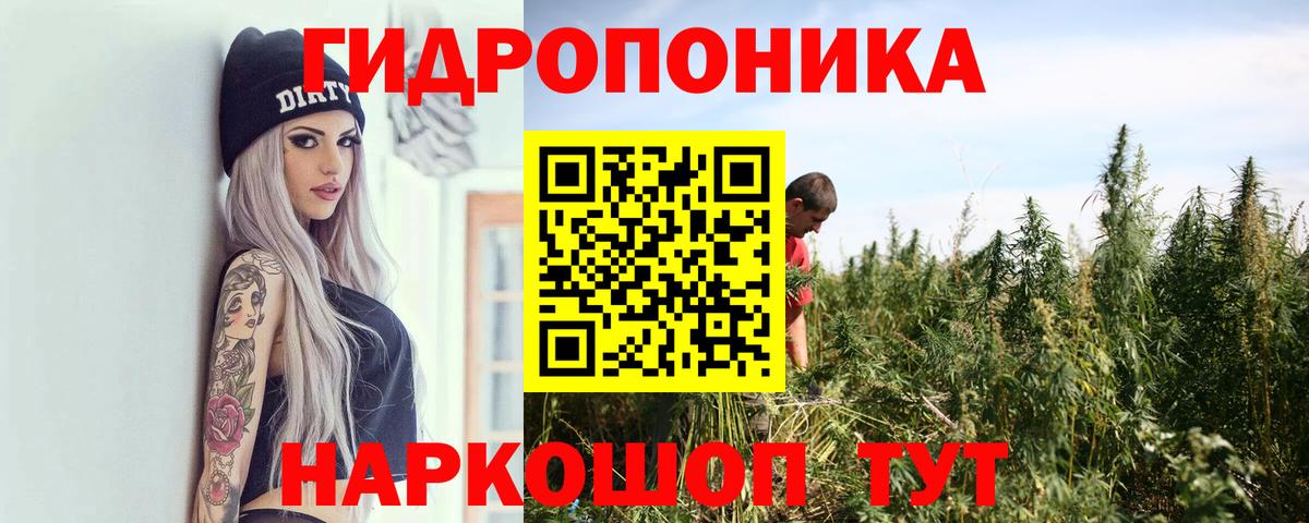 Каннабис конопля Южноуральск